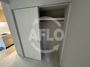 ルフォンプログレ堺筋本町タワーレジデンスの収納|ルフォンプログレ堺筋本町タワーレジデンス　クローゼット