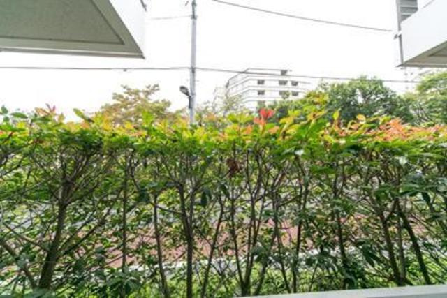 ＰＲＩＭＥ　ＵＲＢＡＮ　東中野　ＣＯＵＲＴの展望