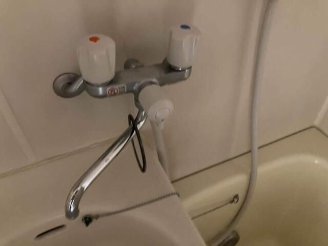 レピュートなかむらの浴室