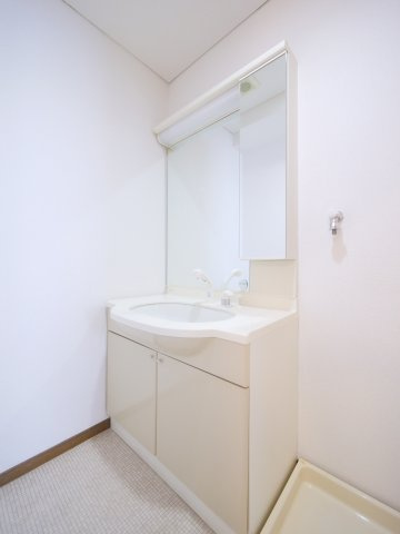 メゾン表町の洗面所