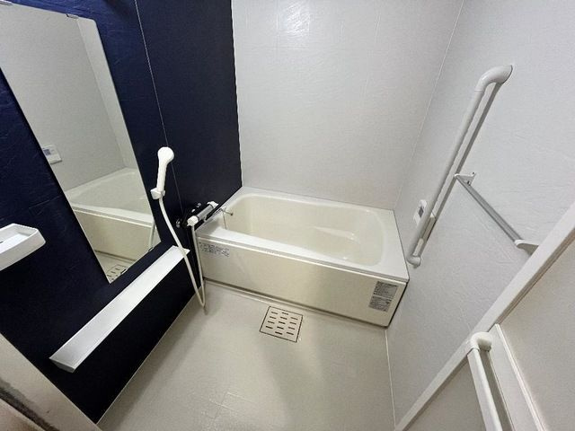 Ｃａｓａ　Ｇｒａｎｄｅの浴室