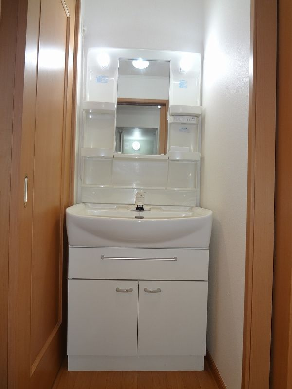 メゾンドデリエールの洗面所