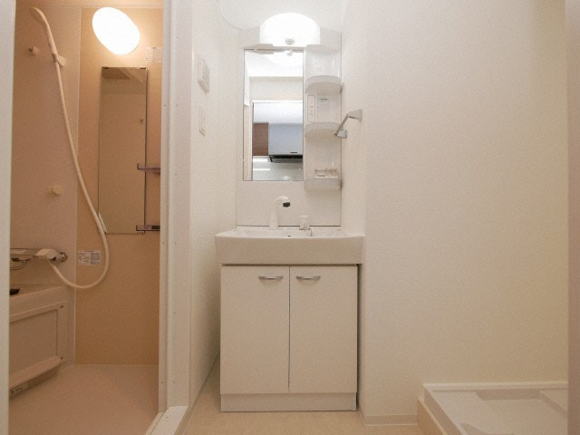 リヴィアス難波ルノンの独立洗面台