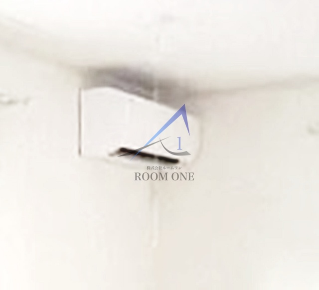 Ｂｕｅｎａ　Ｖｉｓｔａ　ＩＯＧＩのその他