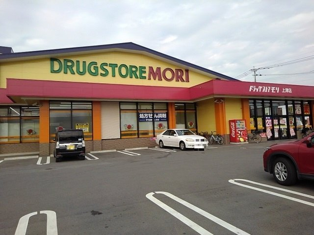 カーサ中村Ｂの周辺|ドラッグストアモリまで700m