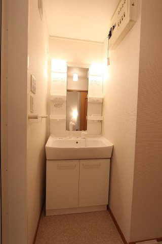 ウィステリア池下の洗面所