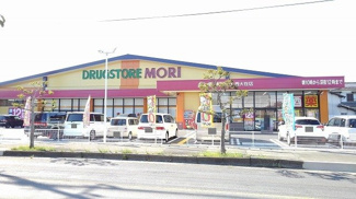 【周辺】 | ドラッグストア　モリ　西大在店まで700m