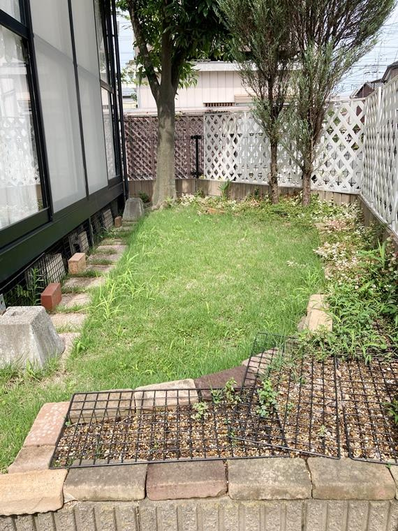 里戸建の庭