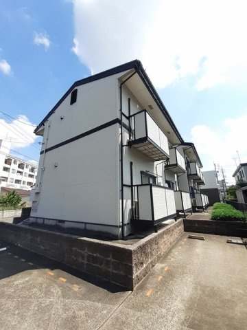 ミレニアム五才美２