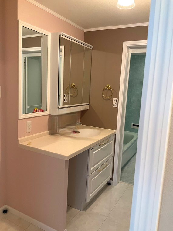 野崎戸建の洗面所