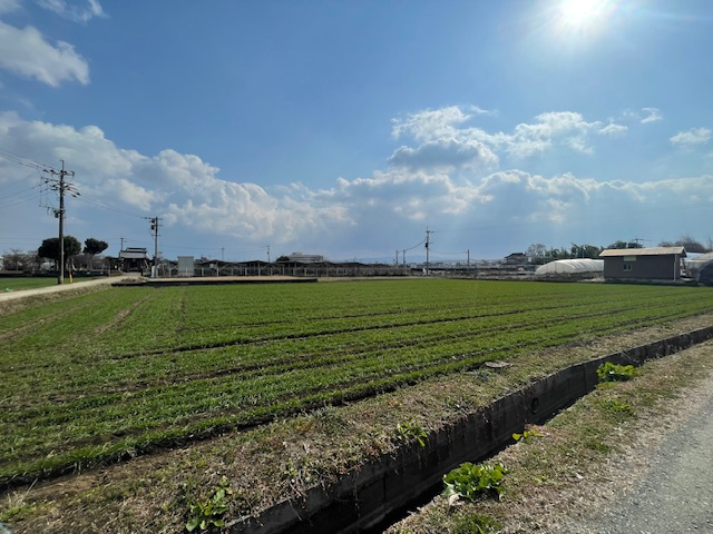筑後市大字長崎土地の外観
