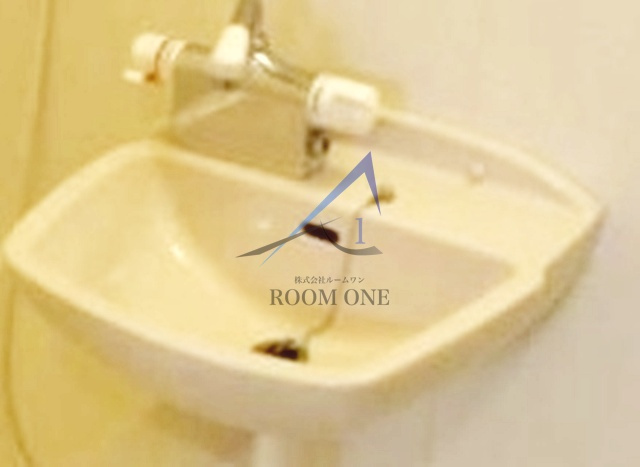 ルーブル五反田弐番館の洗面所|洗面台です。