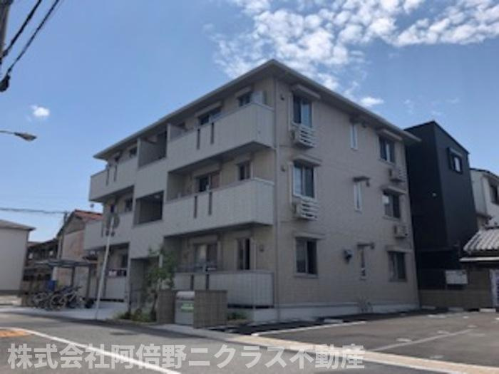 サウスガーディアン