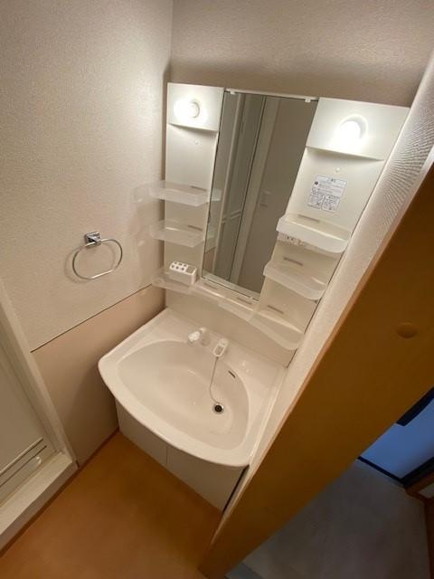 アヴェニール・道場の洗面所