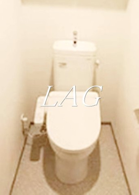 【トイレ】 | ＧＥＮＯＶＩＡ本所吾妻橋ｓｋｙｇａｒｄｅｎ | トイレです。