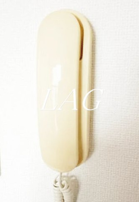 【セキュリティ】 | カーサ松原 | インターホンです。