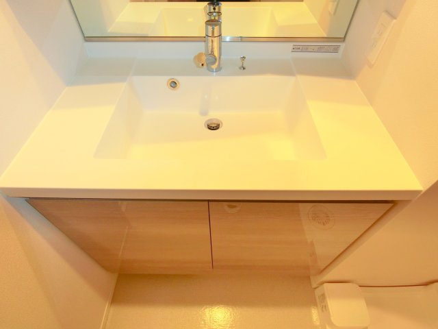 ラティエラ大森の洗面所