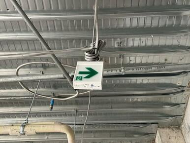 湘南パールのその他