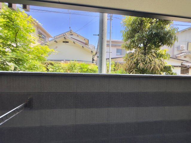 キャスティーヨ山野井の展望