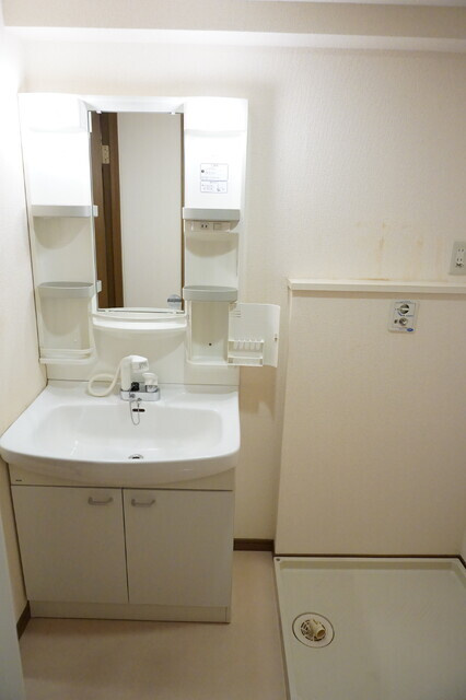 レユニオン成島の洗面所