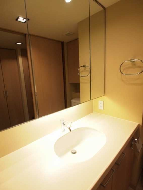 エスティメゾン銀座　駅近　ペット相談　シャーメゾンの洗面所