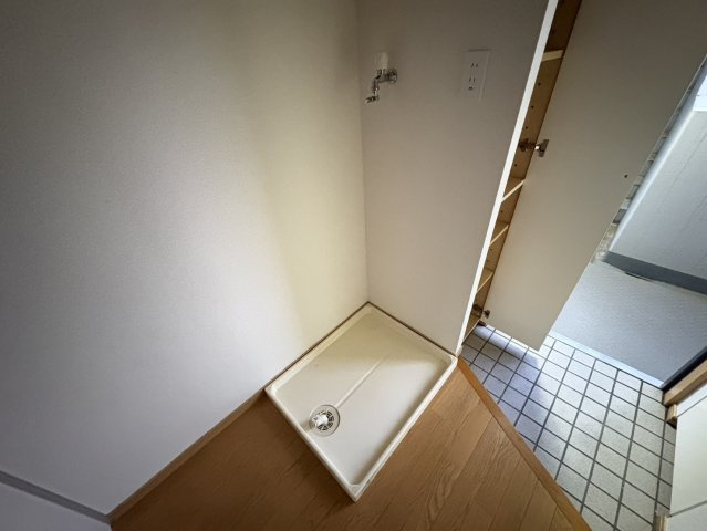 グレイスさつきのその他