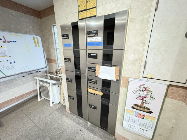 グレイスさつきのその他