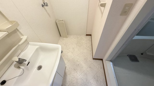 ドミールさつきの洗面所
