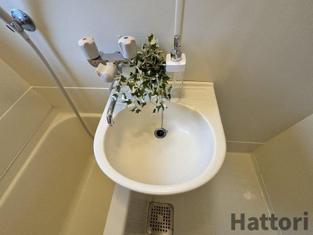 ラ・ルーチェの洗面所