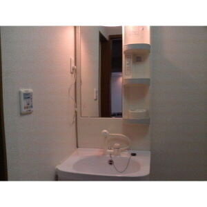 アンプルールリーブルプロパティの洗面所