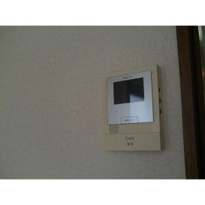 アンプルールリーブルプロパティのセキュリティ