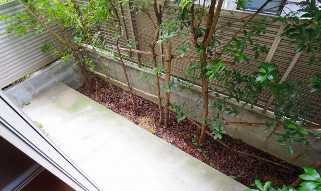 アムール光が丘　Ａのバルコニー