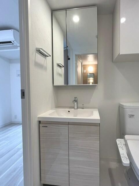 パークアクシス錦糸町スタイルズの洗面所