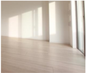 デュオステージ曳舟の内装