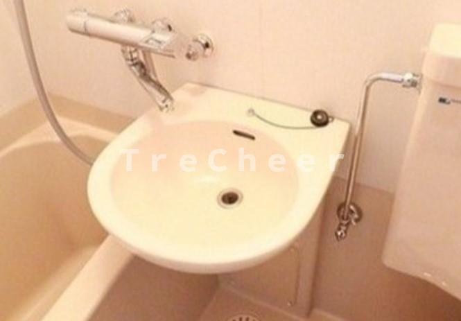 フェリス松本九段の洗面所