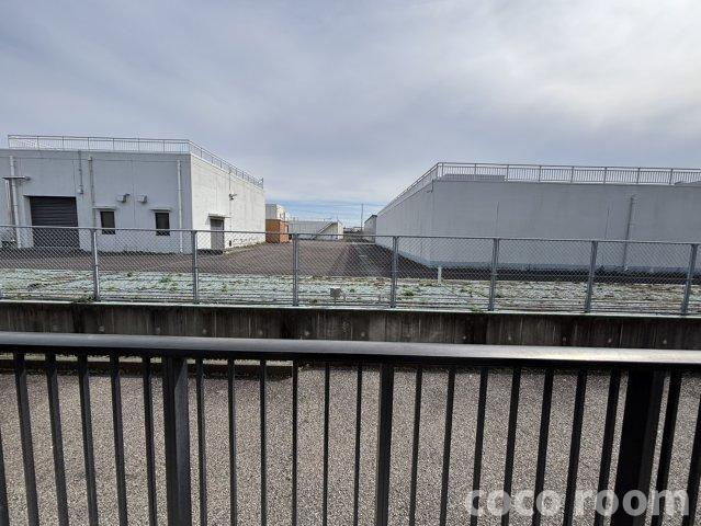 ピュアIIの展望