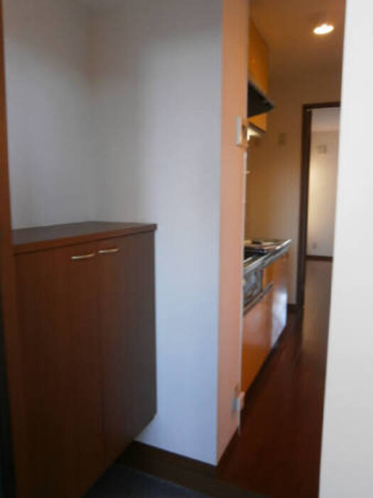 ニコール河辺の玄関