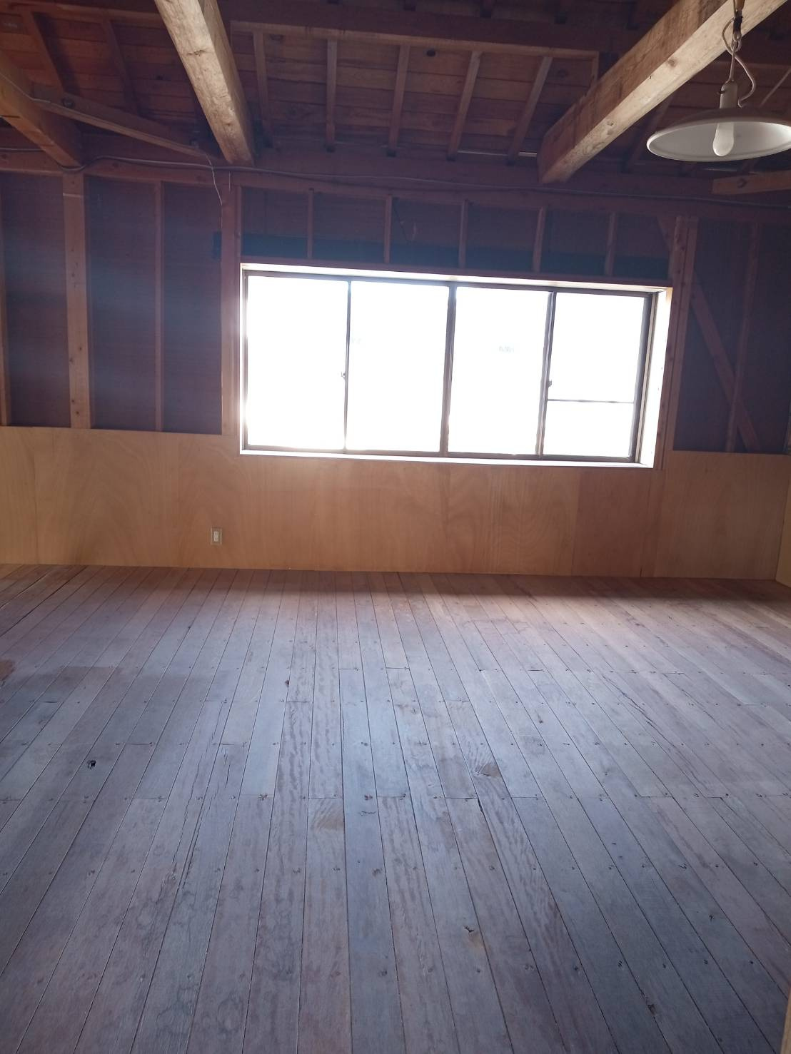 西平田町　戸建のその他|2階小屋裏物置