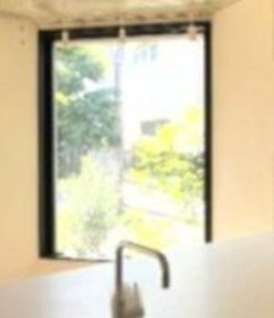 ｔｒｉａｓ２２０の展望