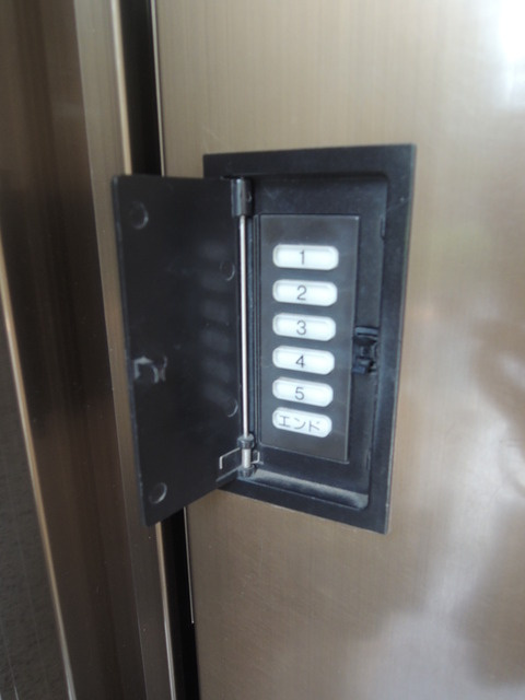 ミレニアム新井のその他