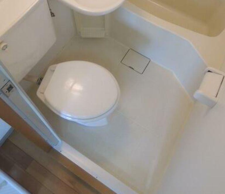 ミレニアム新井のトイレ|トイレ☆