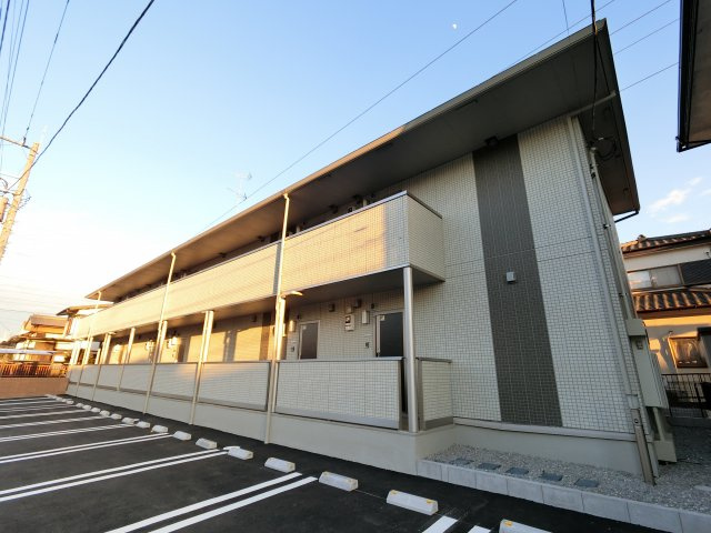 a.セミカの画像