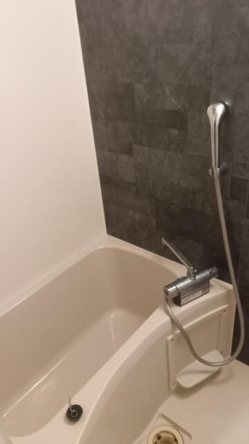 フィオーレ西日暮里Ａの浴室