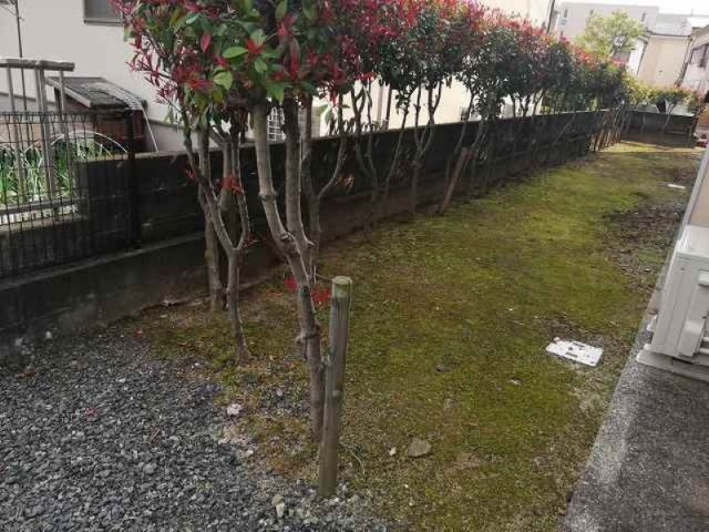 レオパレスセントラルトワードのその他