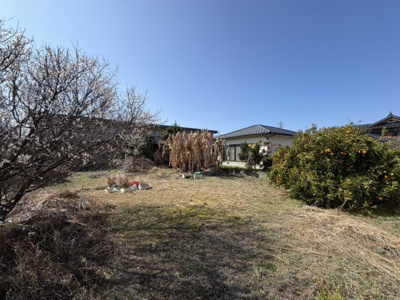 【外観】 | 長田町売地