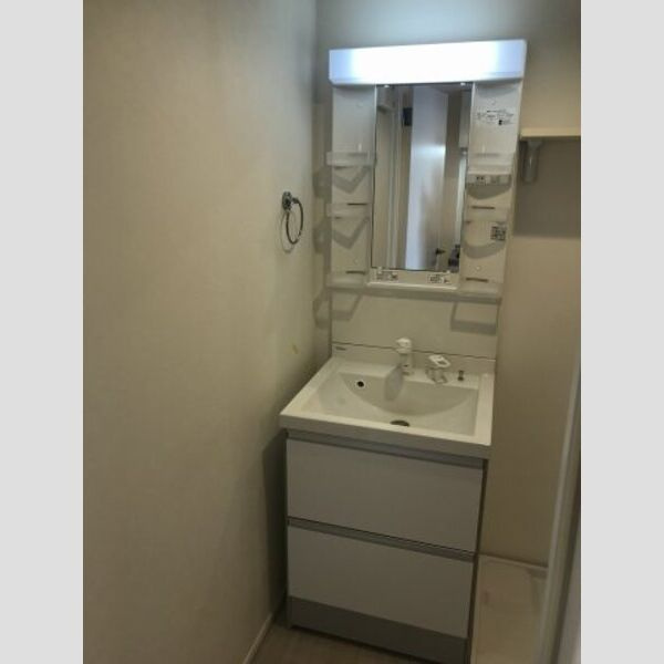 ハーモニーテラス名楽町　名古屋市賃貸　仲介手数料無料の洗面所