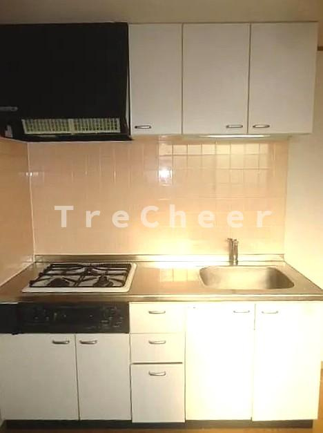 COURT MIYAWAKI(コートミヤワキ)のキッチン