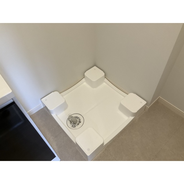 Lys blancのその他