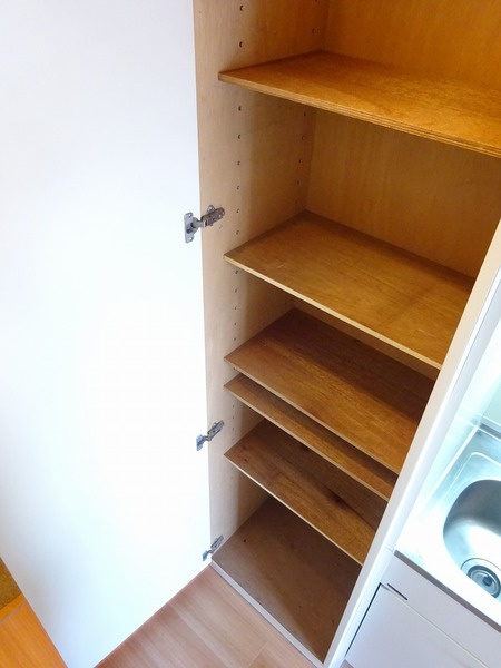 ライオンズマンション西川口第壱壱の収納|収納豊富です