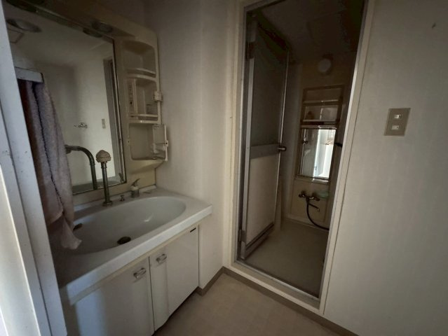 －三丁目不動産-ダイアパレスビッグウィング深谷338の洗面所